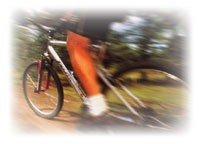 自転車