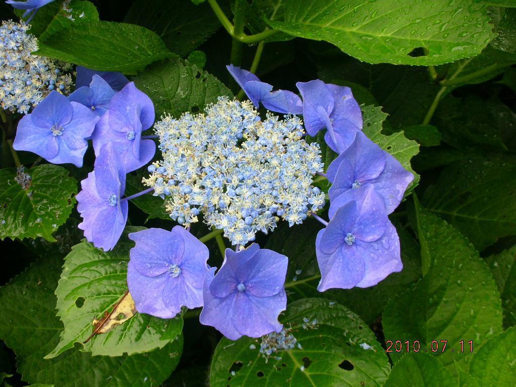 写真11.JPG